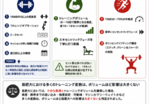 【2026年最新版】ACSM最新レビューを徹底解説｜経営者が知るべき筋トレの新常識