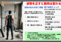 筋トレしても胸・背中に効かない原因は姿勢？科学的に改善法を解説【梅田】