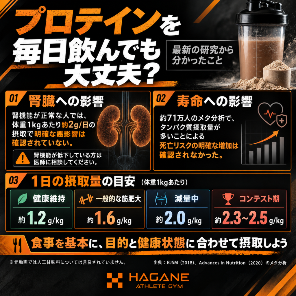 プロテインは毎日飲んでも大丈夫？大阪・梅田の経営者向け摂取量ガイド