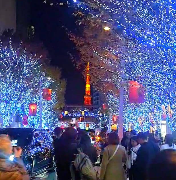 イルミネーション　けやき坂