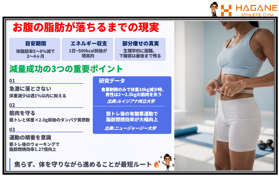 お腹の脂肪が落ちるまでの現実 HAGANE ATHLETE GYM 金岡亮介