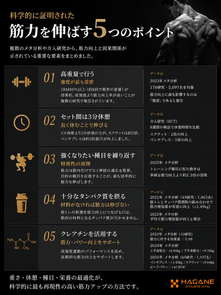【2026年最新】筋力アップに最も効果的な5つの方法｜大阪・梅田の経営者専門パーソナルジムが解説