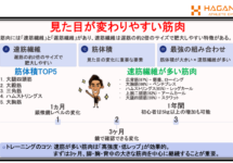 【経営者必見】最短3ヶ月で見た目が変わる科学的トレーニング戦略｜大阪梅田パーソナルジムHAGANE ATHLETE GYM