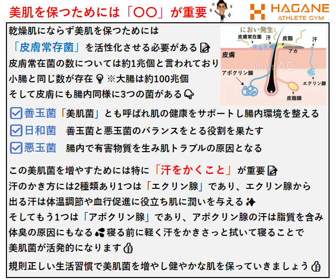 乾燥肌の改善方法