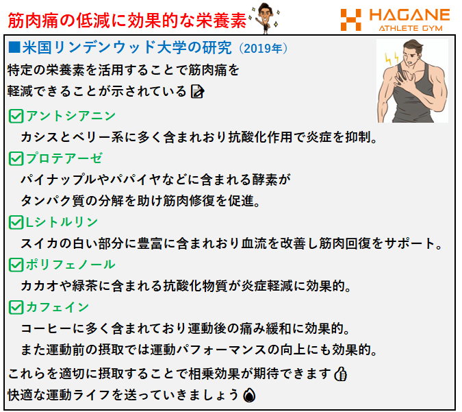 筋肉痛を低減させる栄養素　金岡亮介